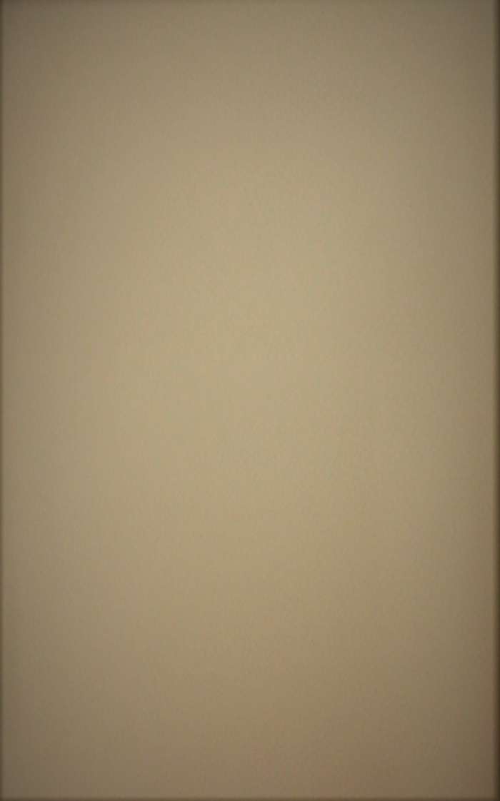 Kunstleder Basso 300 lichtgrau