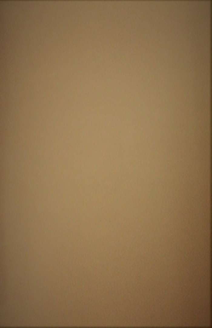 Kunstleder Basso 301 sandbeige