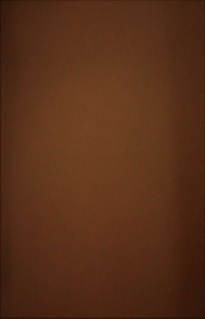 Kunstleder Basso 303 dkl. beige