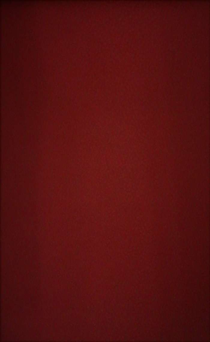 Kunstleder Basso 309 bordeaux