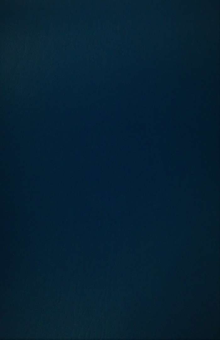 Kunstleder Esterna 107 blau