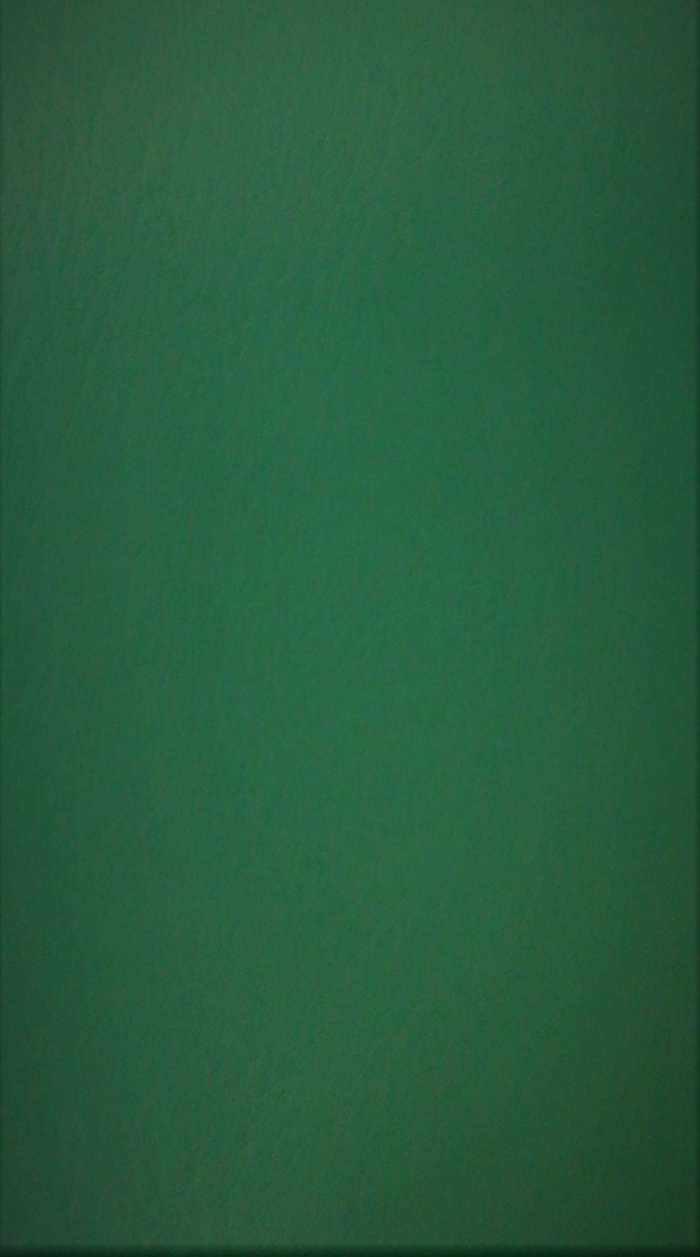 Kunstleder Esterna 108 mint