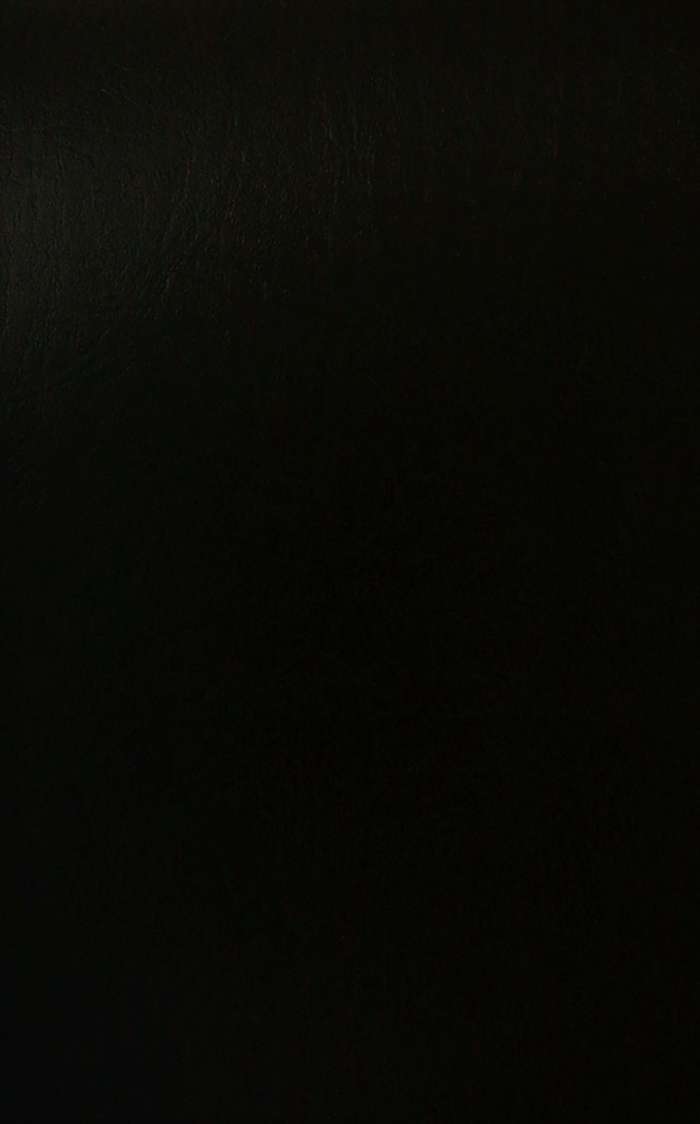 Kunstleder Esterna 111 nero