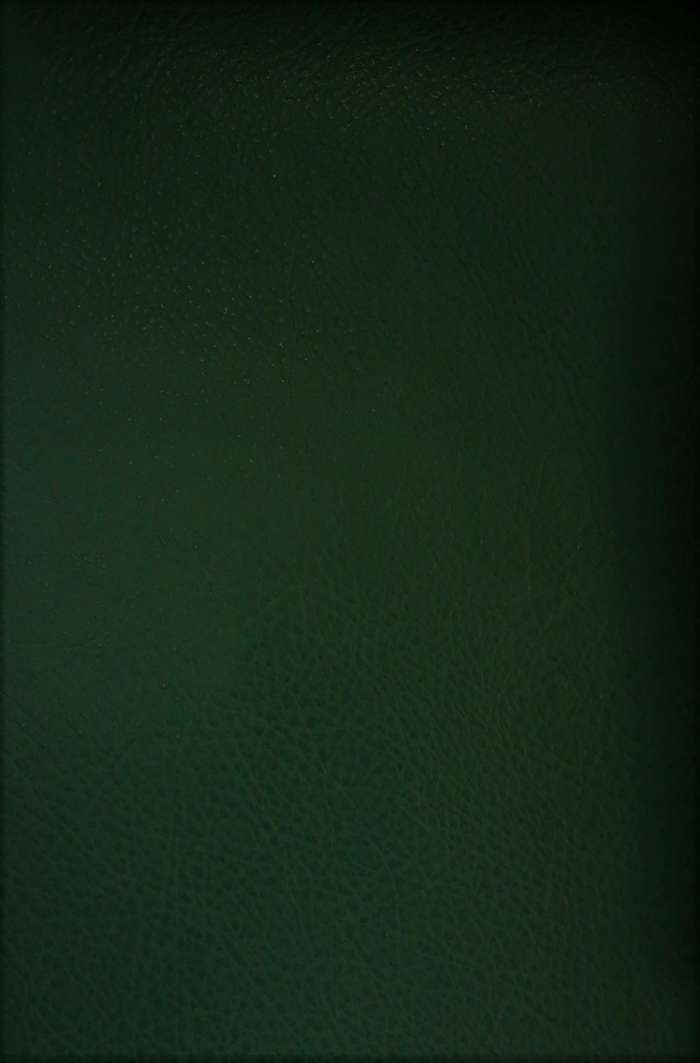 Kunstleder Grosso 409 grün