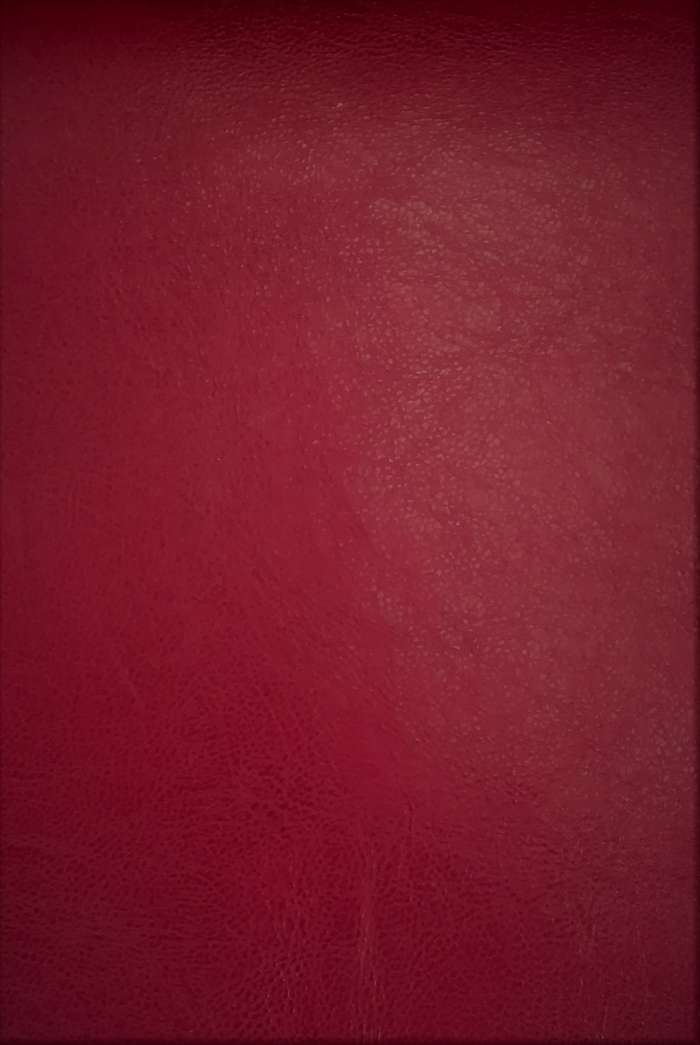 Kunstleder Rustico 606 rot