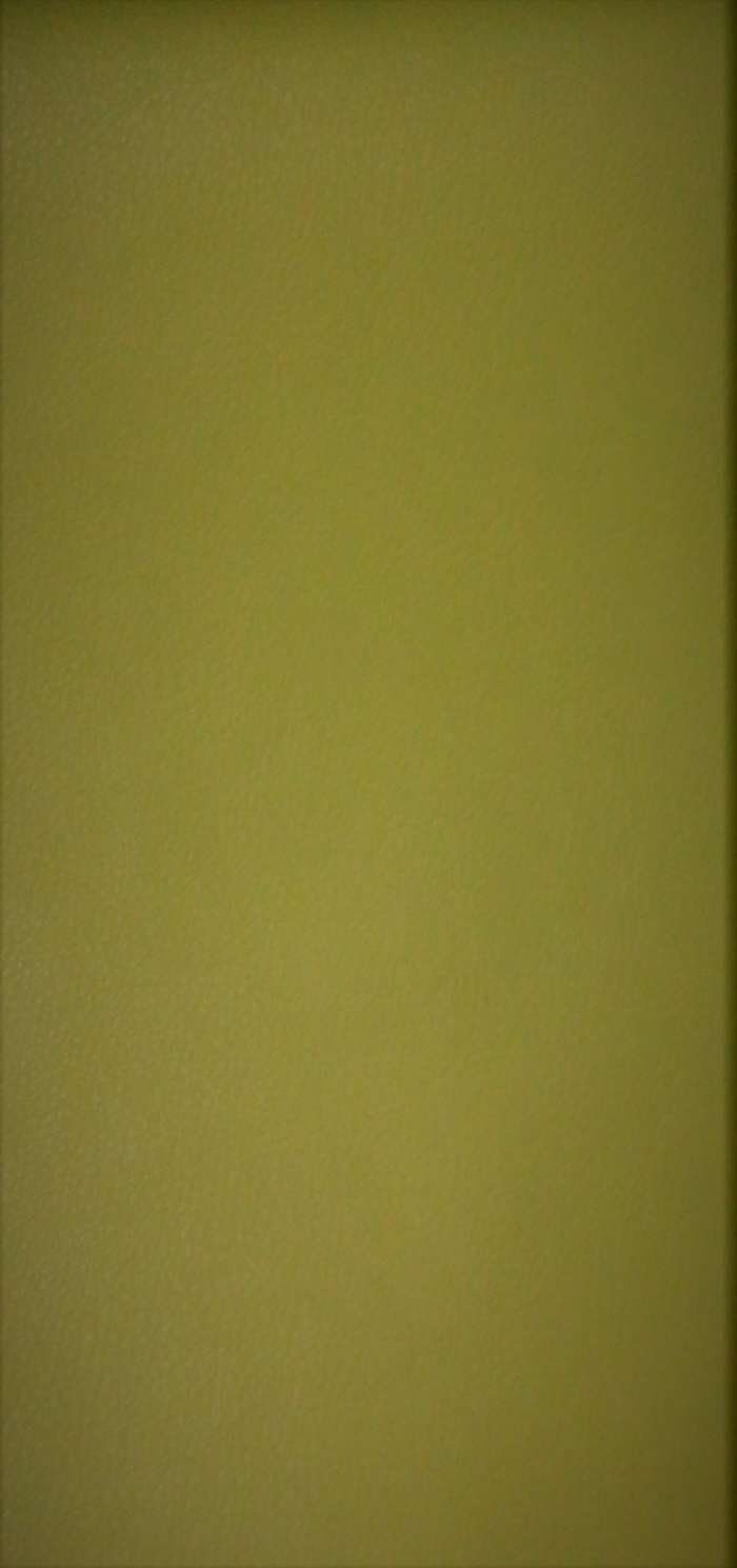 Kunstleder Sedere 212 olive