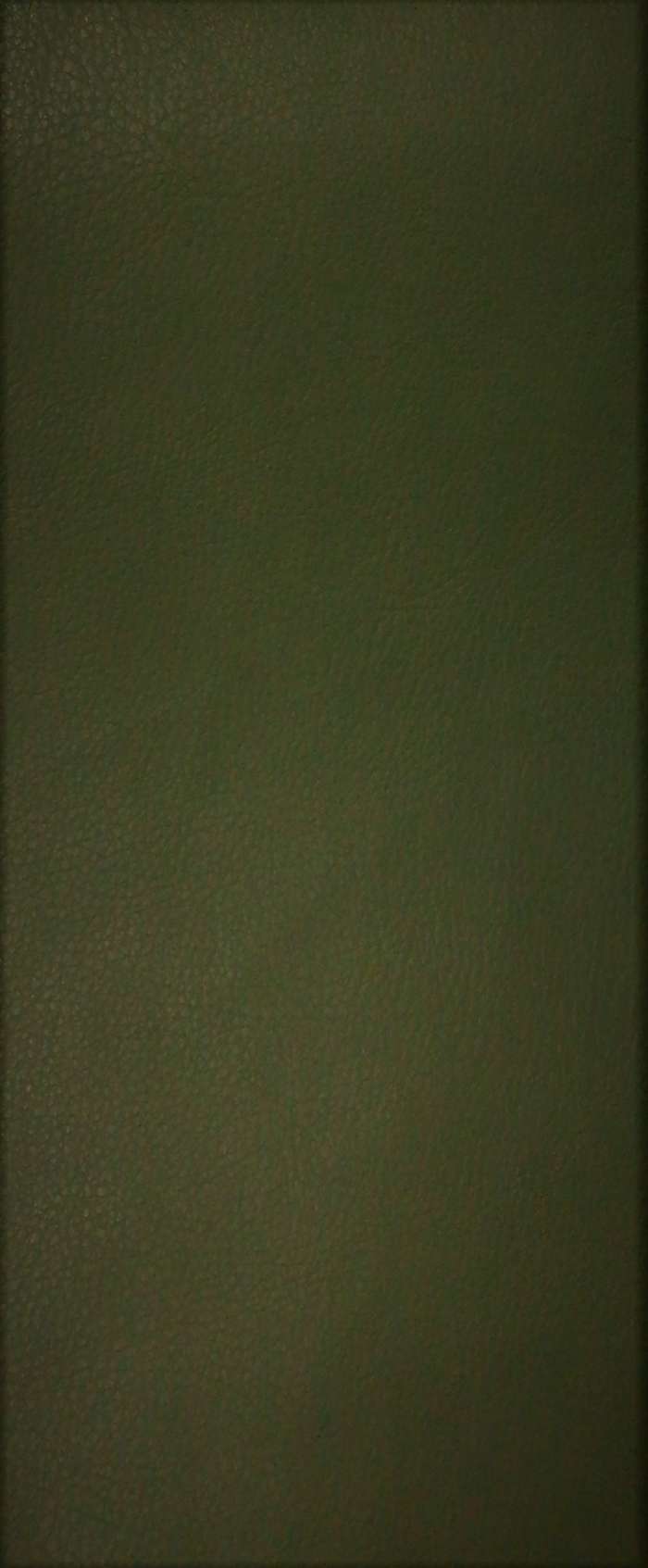 Kunstleder Sedere 213 loden
