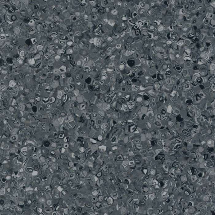 Fortis Anthracite