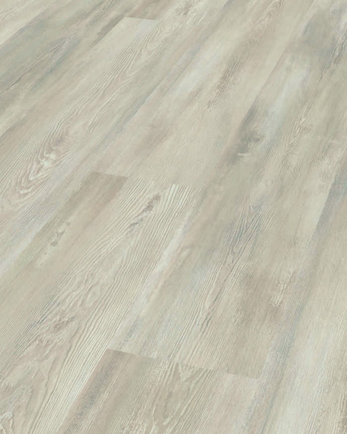 Nevada Kiefer Dynamic