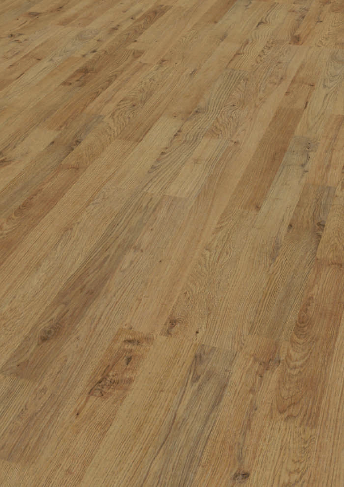 Plauer Eiche Dynamic